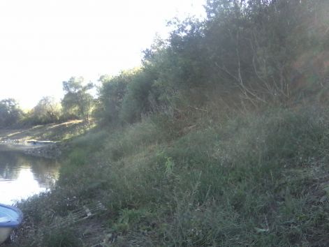 lg_social_2776.jpg