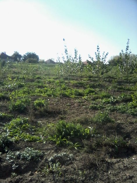 lg_social_2777.jpg