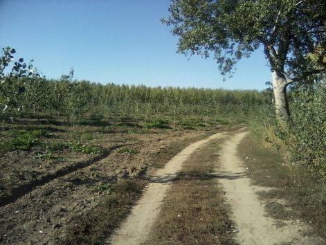 lg_social_2780.jpg