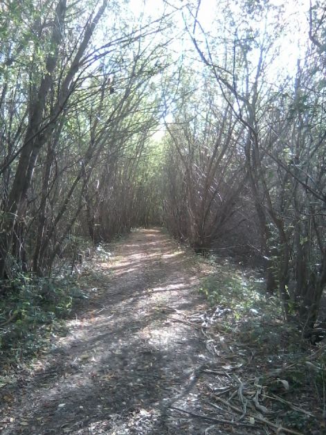 lg_social_2787.jpg