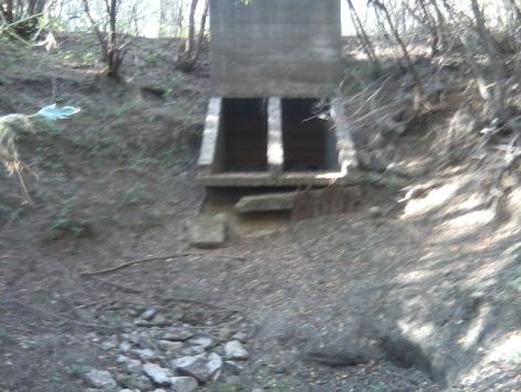 lg_social_2796.jpg