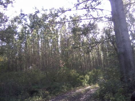 lg_social_2830.jpg