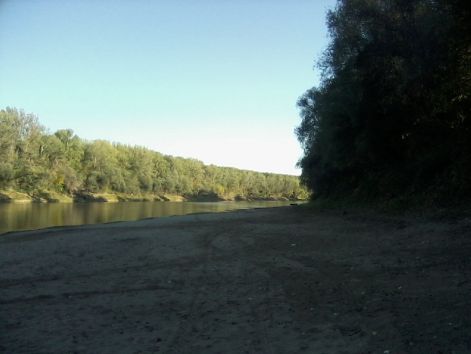 lg_social_2831.jpg