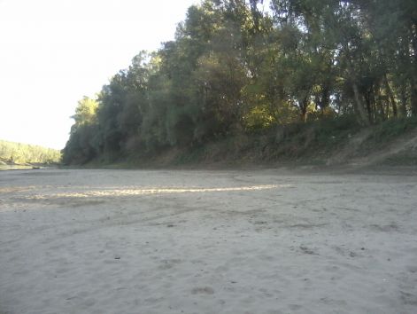 lg_social_2838.jpg