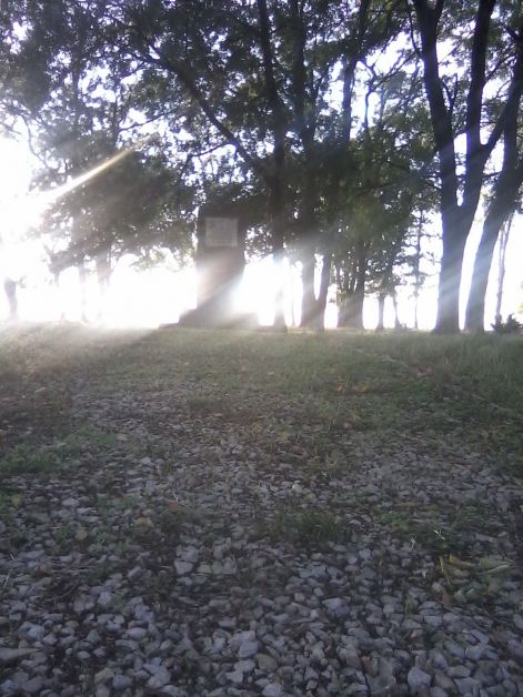 lg_social_2842.jpg